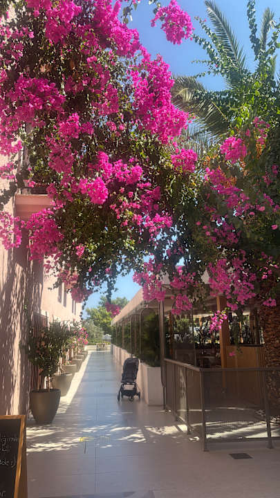 Gartenanlage Bodrum Park Resort