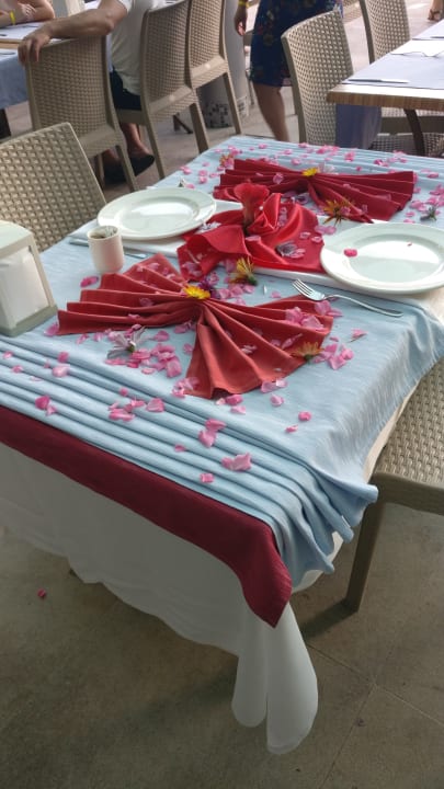 Zimmer Alaiye Resort & Spa