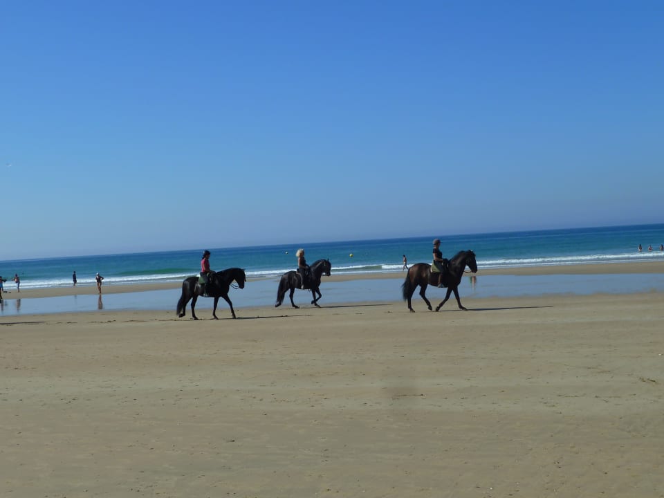 Strand Fuerte Conil-Resort