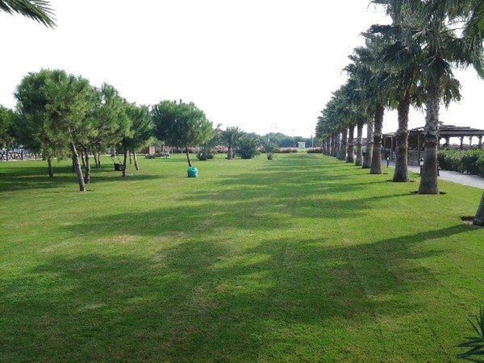 Was für ein Rasen Voyage Belek Golf & Spa