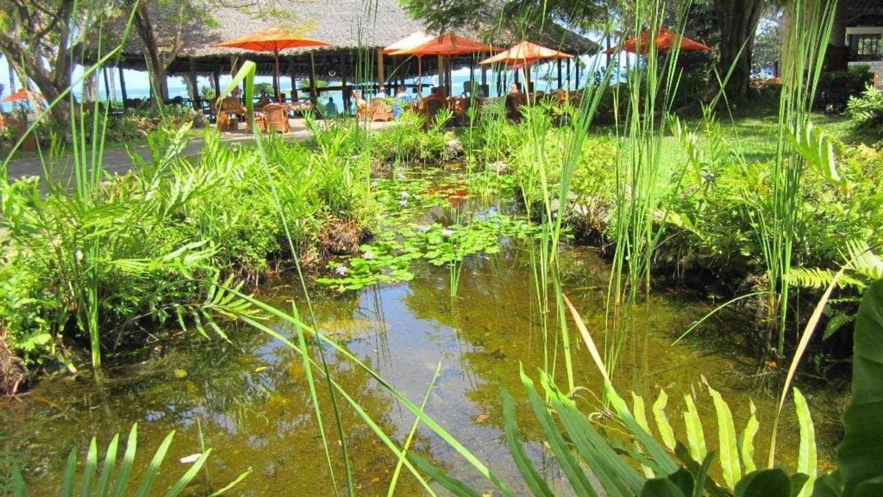 Zierteich Baobab Holiday Resort