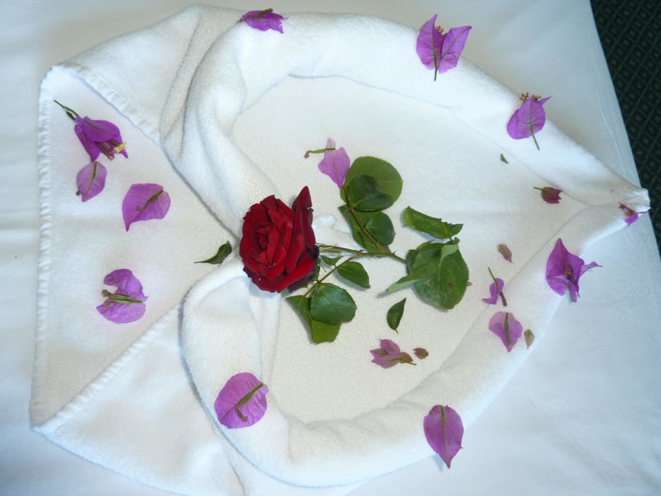 Dekoration von der Reinigungskraft VONRESORT Golden Coast