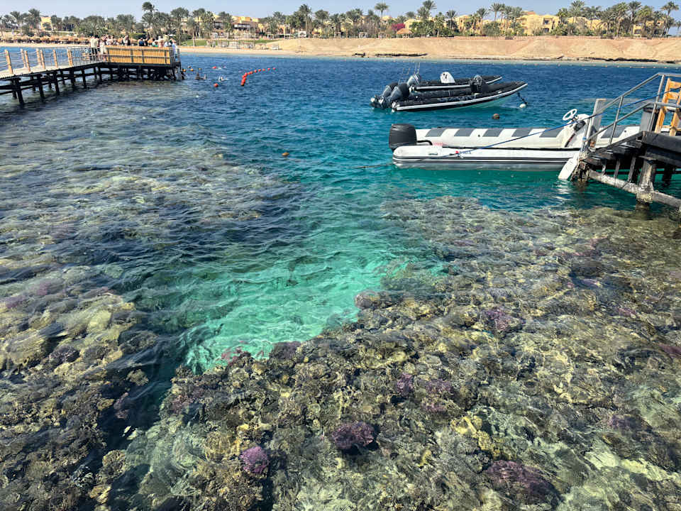 Strand Steigenberger Resort Alaya Marsa Alam - Red Sea - Adults only