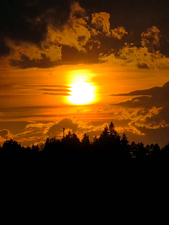 Sonstiges Kräuterhotel Zischghof