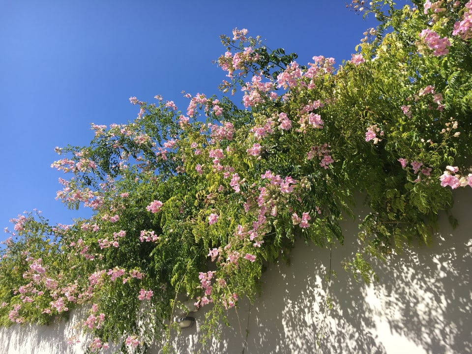 Sonstiges Anemos Luxury Grand Resort