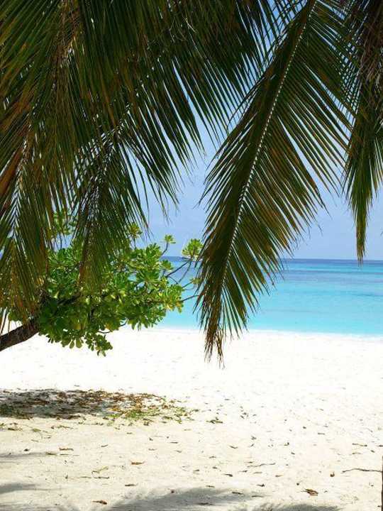 Ausblick von der Terrasse unserer JBV Kuredu Island Resort & Spa
