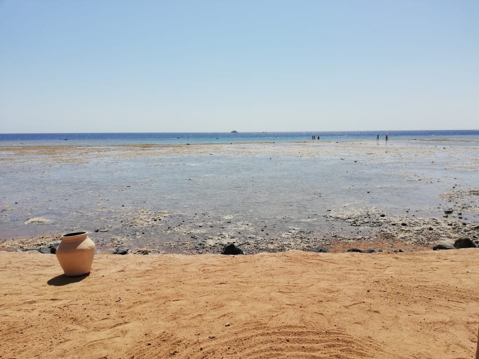 Strand Makadi Spa - Adults only