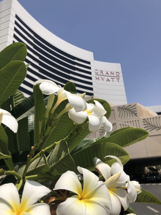 Außenansicht Grand Hyatt Dubai