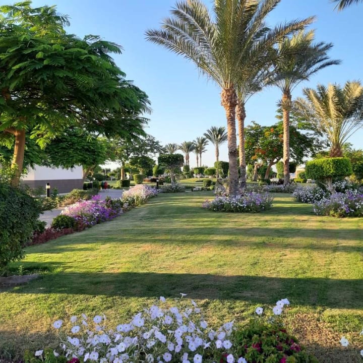 Gartenanlage Hurghada Long Beach Resort