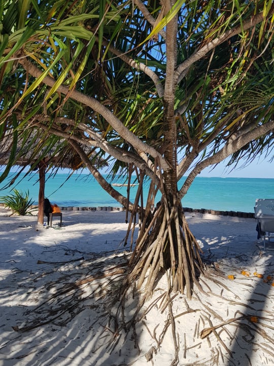 Strand TUI Blue Bahari Zanzibar