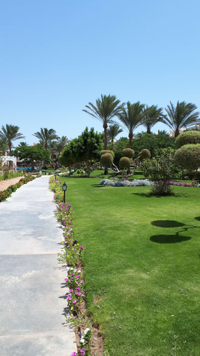 Gartenanlage JAZ Neo Saraya Palms
