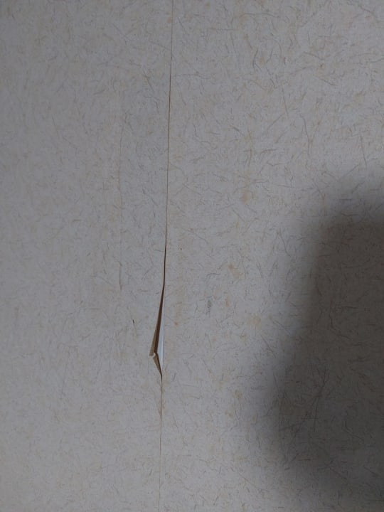 Zimmer Latanya Park Resort