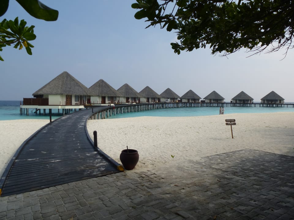 Wasserbungalows Adaaran Select Meedhupparu Island Resort - Premium All Inclusive