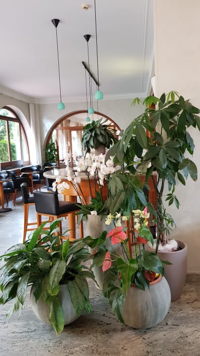 Lobby Hotel Gabriella