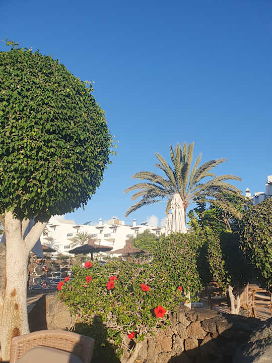 Gartenanlage allsun App.-Hotel Albatros