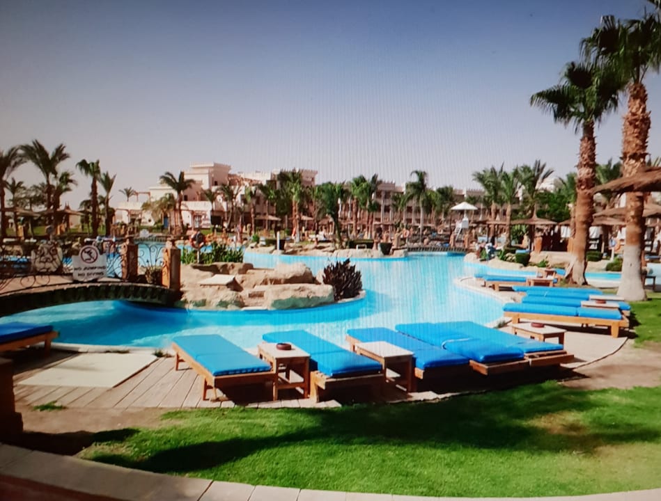 Pool Pickalbatros Palace Resort