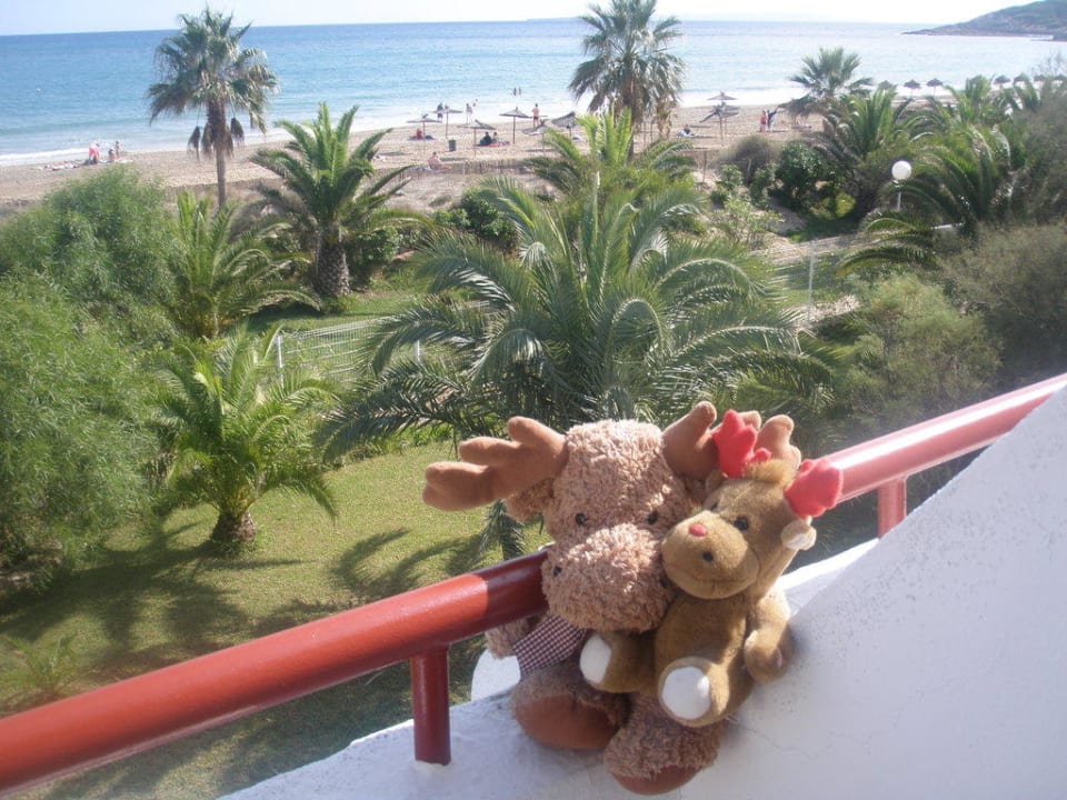 Ausblick vom Zimmerbalkon Grand Palladium White Island Resort & Spa