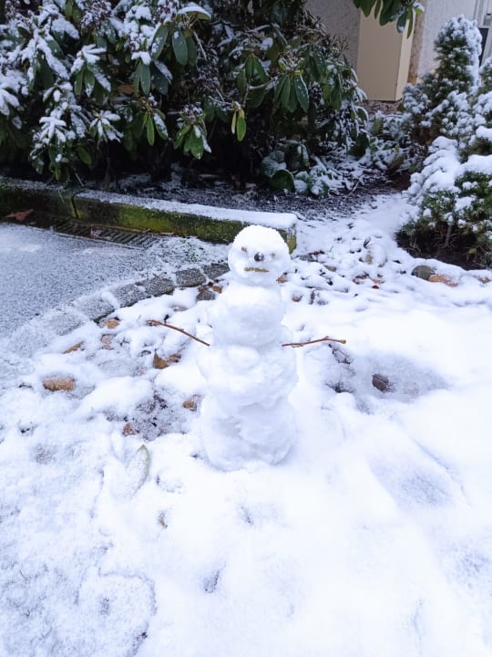 Gartenanlage Best Western Hotel Rhön Garden