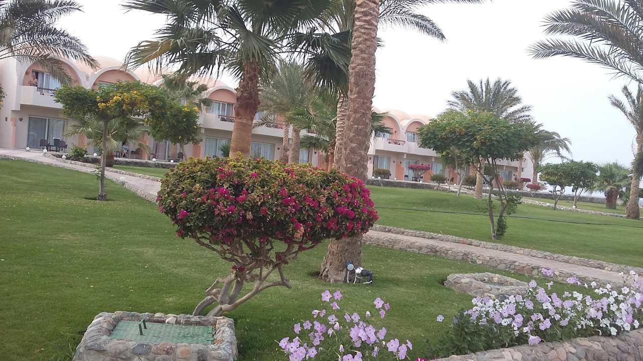 Gartenanlage Three Corners Sea Beach Resort