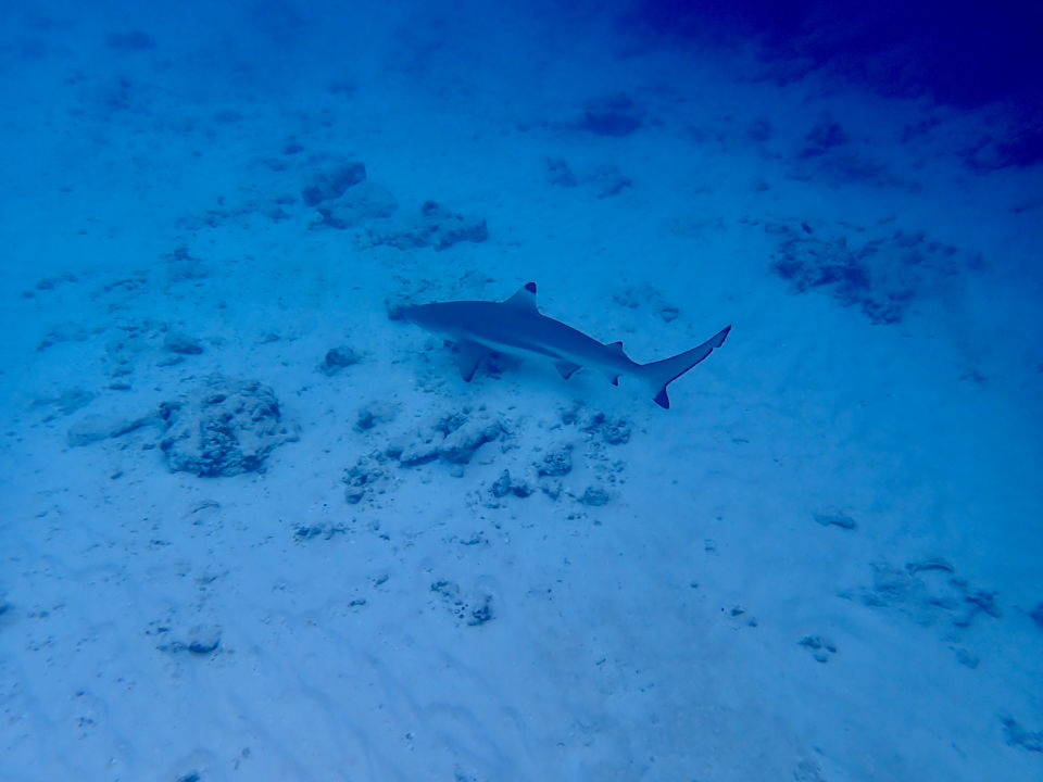 Strand Dreamland The Unique Sea & Lake Resort / Spa