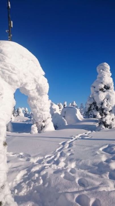 Gartenanlage Hotel Iso Syöte