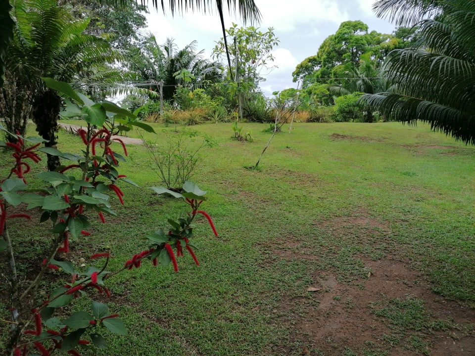 Gartenanlage The Sunset Tucano Lodge