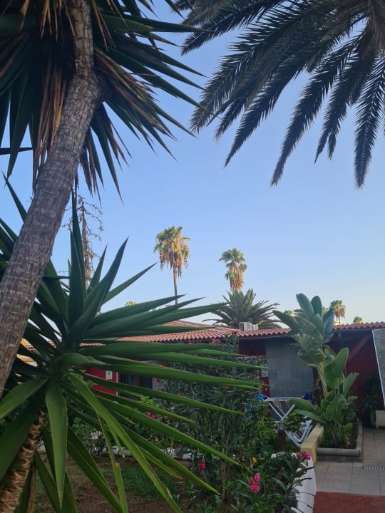 Gartenanlage HL Miraflor Suites Hotel