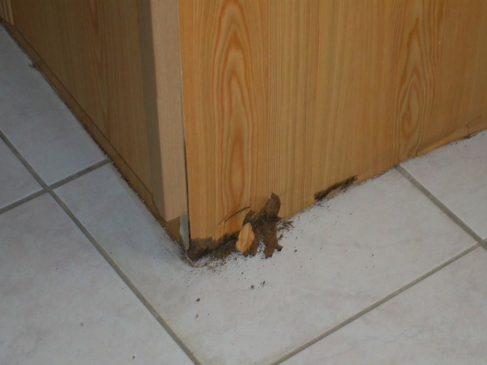 Kleiderschrank Zimmer 1301 Armas Gül Beach