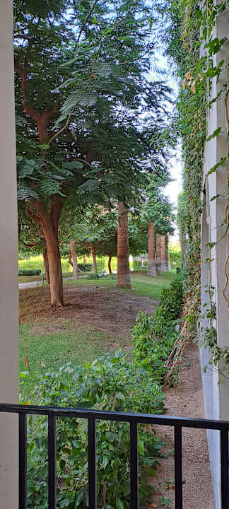 Außenansicht Desert Rose