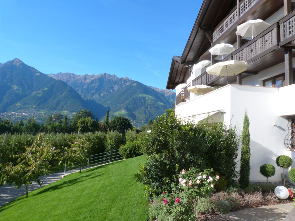 Aussicht Pension Appartements Riedingerhof