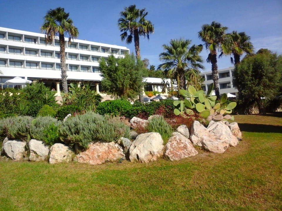 Garten mit Hotel Grecotel LUXME Dama Dama