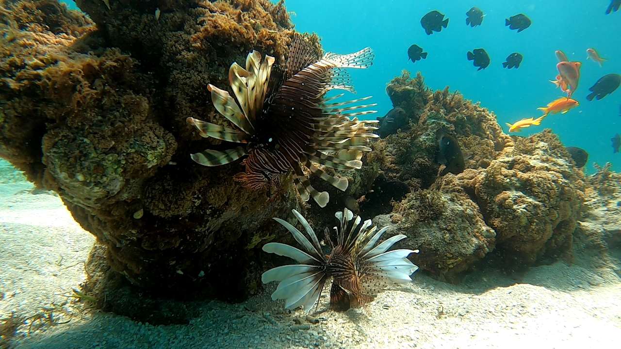 Sport & Freizeit Three Corners Happy Life Beach Resort