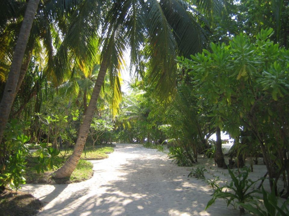 Gartenanlage Kuramathi Maldives