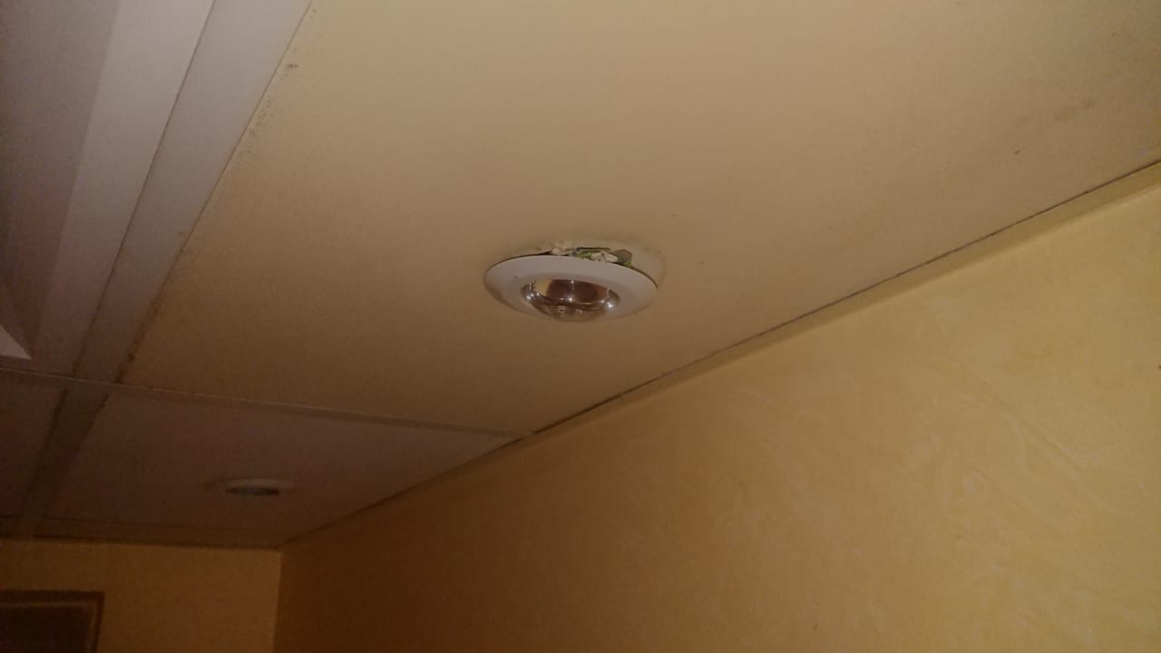 Zimmer Ghazala Gardens