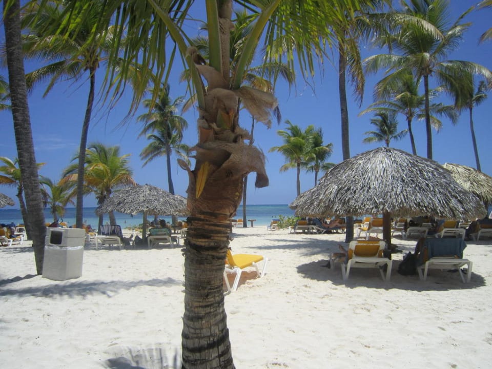 Strand Catalonia Punta Cana - All Inclusive