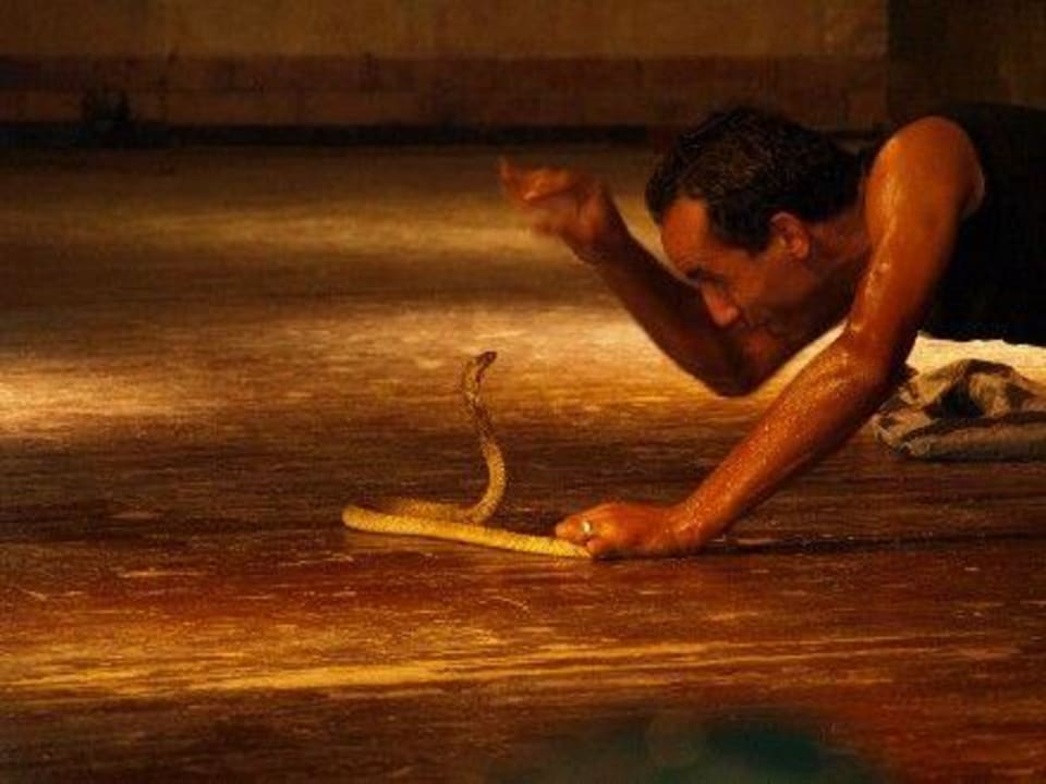 Cobra Show - Dana Beach Pickalbatros Dana Beach Resort - Hurghada