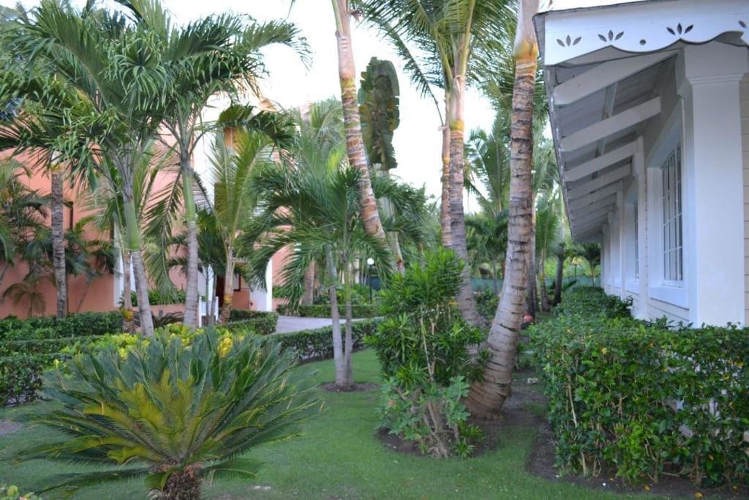 Wygląd zewnętrzny ogród  Bahia Principe Luxury Ambar