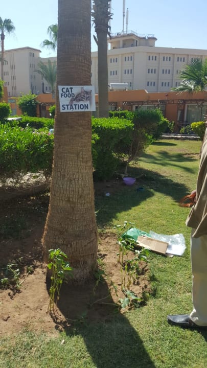 Sport & Freizeit Giftun Azur Resort