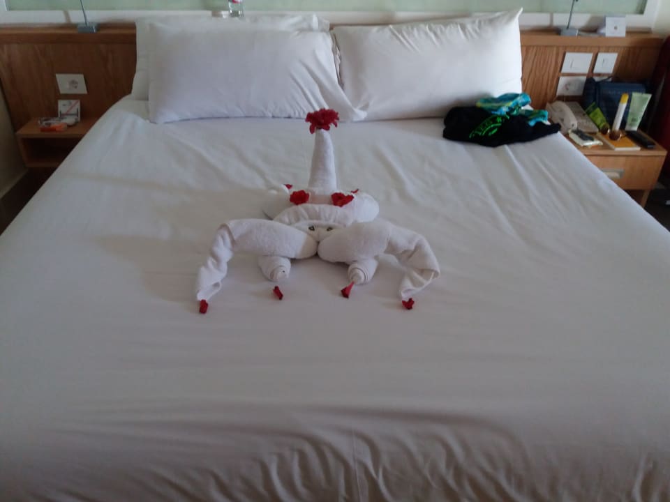 Zimmer Hotel Mercure Hurghada