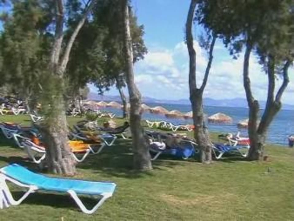 Liegewiese am Strand TUI BLUE Oceanis Beach and Spa Resort