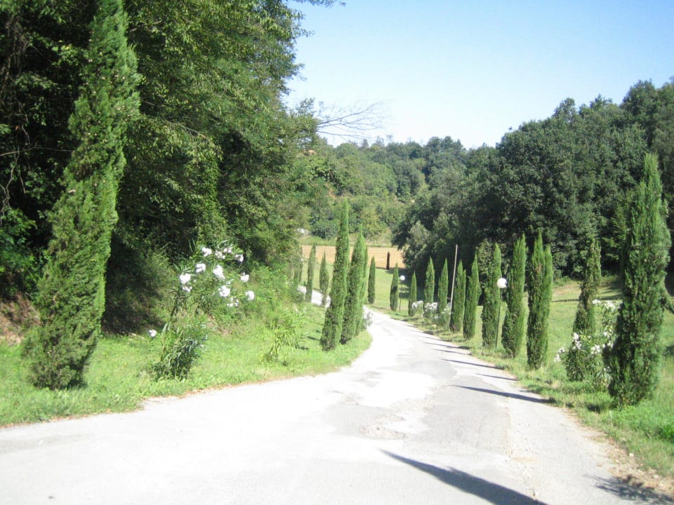 Zufahrt Agriturismo Montalto