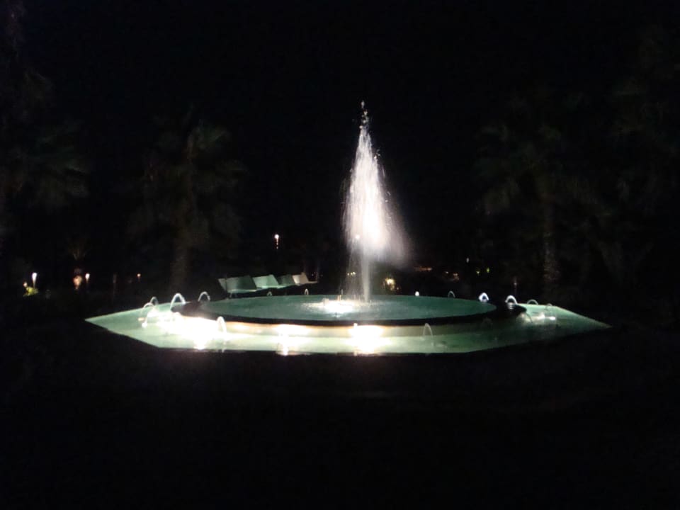 Vor dem Hotel Radisson Blu Palace Resort & Thalasso Djerba