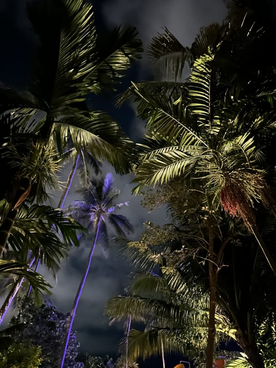 Gartenanlage The Fair House Beach Resort