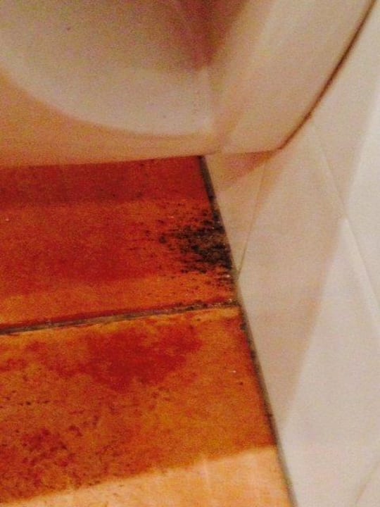 Insekten Aldiana Club Andalusien