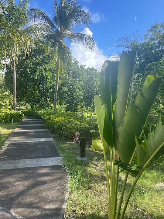 Gartenanlage Maritim Resort & Spa Mauritius