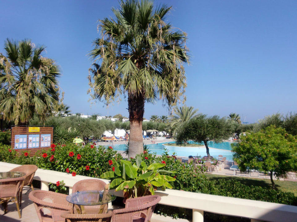 Hauptpool TUI KIDS CLUB Alex Beach