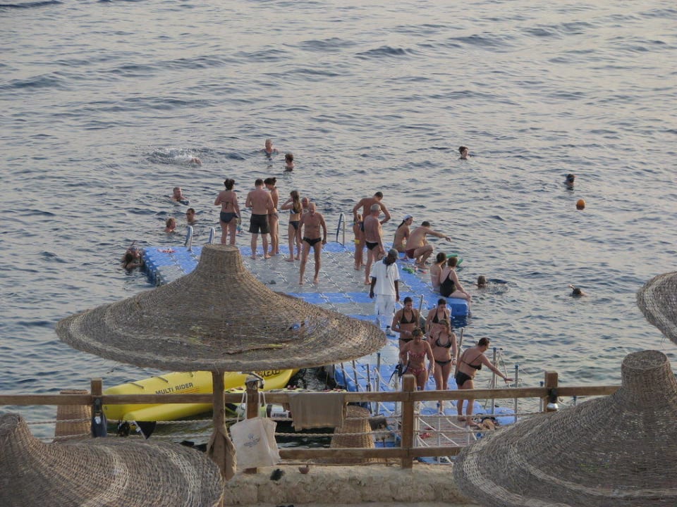 A pod taflą wody rafa koralowa Sharm Plaza