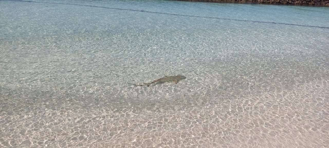 Strand Kuramathi Maldives