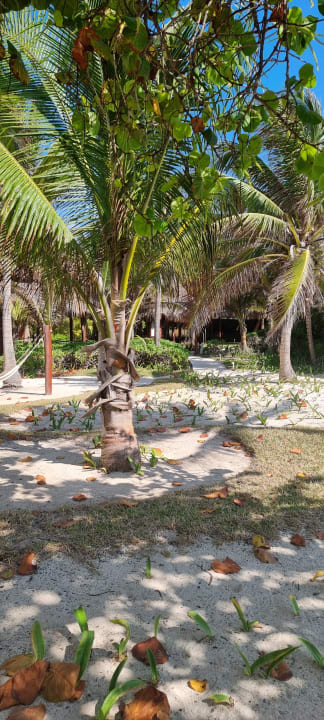 Gartenanlage Akumal Bay Beach & Wellness Resort
