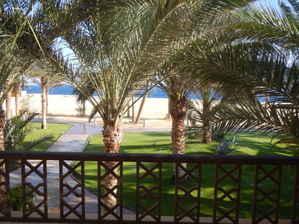 Blick aus dem Zimmer Steigenberger Coraya Beach - Adults only